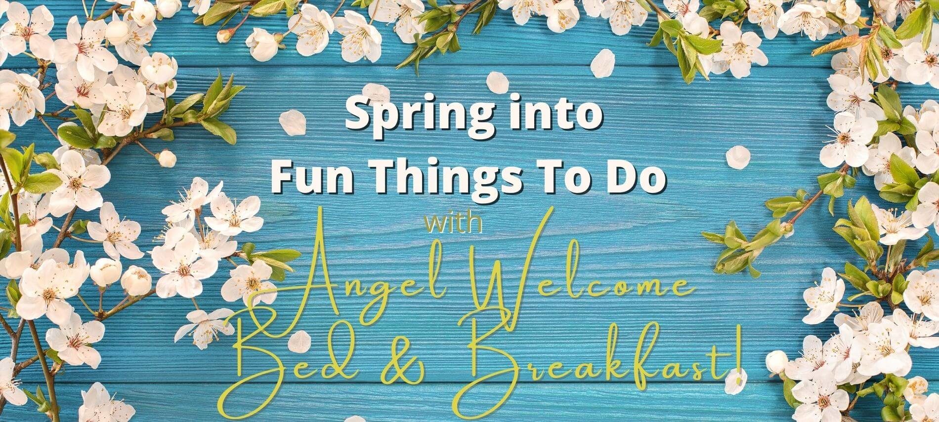 Spring into Fun Things to Do at Angel Welcome Bed & Breakfast on teal wooden background with spring blossoms in white surrounding.